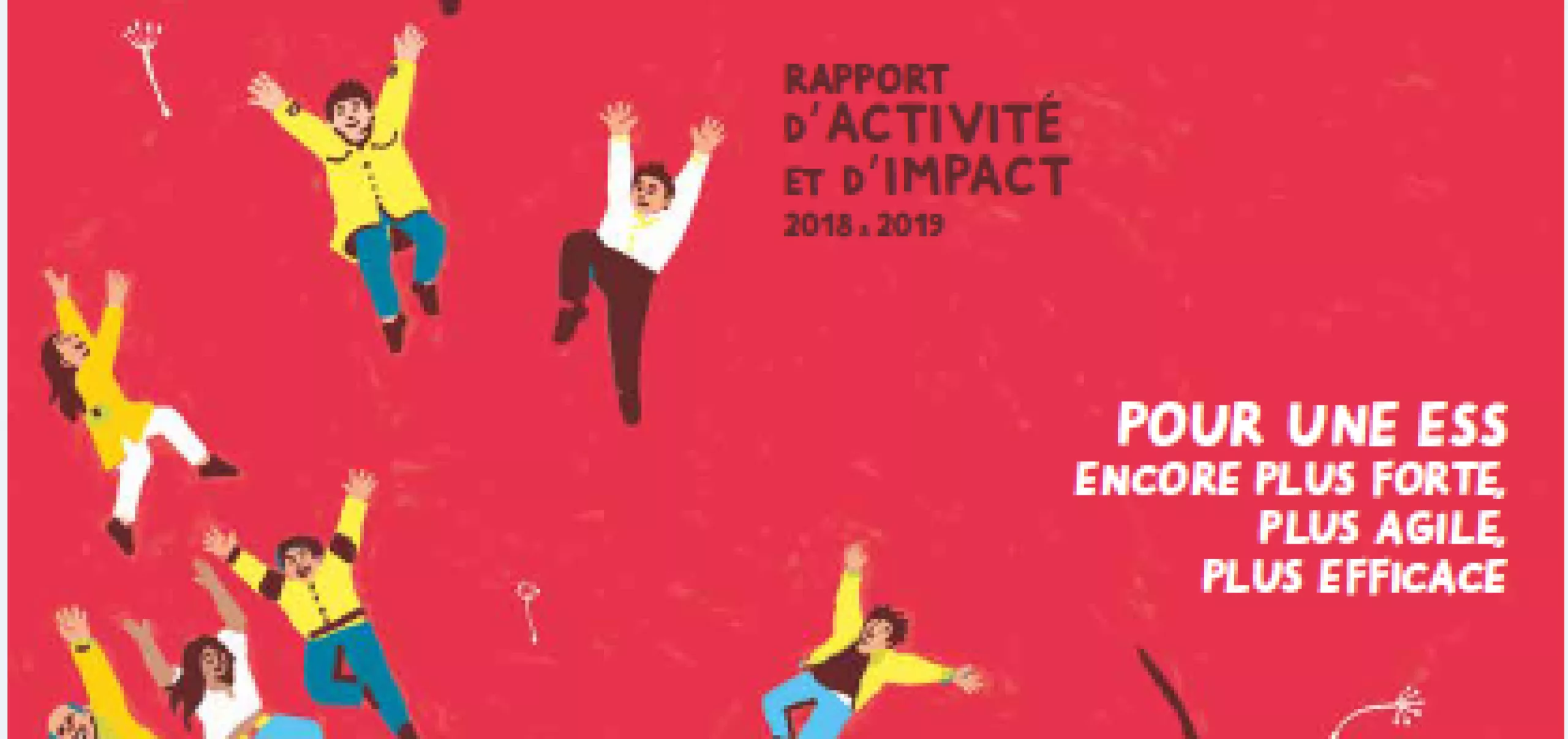 rapport d'activité et d'impact 2018-2019