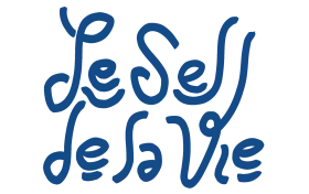 Logo du Sel de la Vie